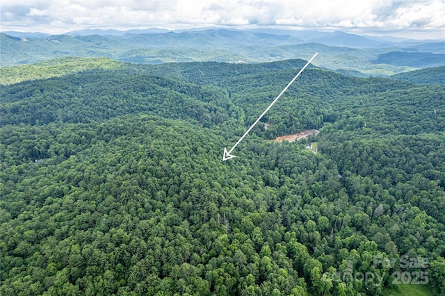 000 Blue Ridge Rd, Lake Toxaway, NC 28747