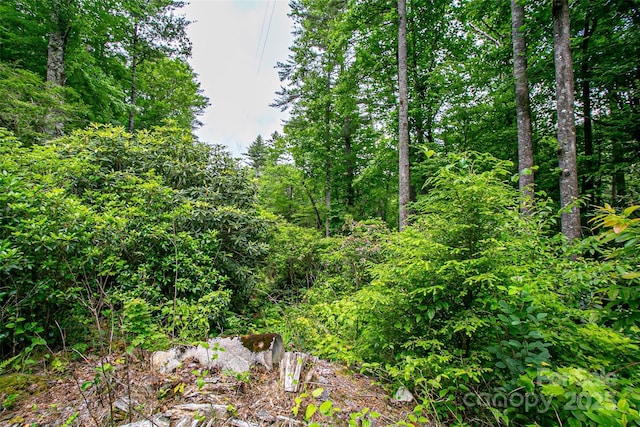 000 Blue Ridge Rd, Lake Toxaway, NC 28747
