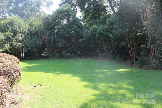 7017 Knightswood Dr, Charlotte, NC 28226 - photo 11