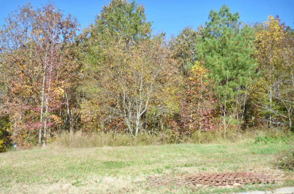 1074 Mackey Ct Unit 83, Gastonia, NC 28056 - photo 1