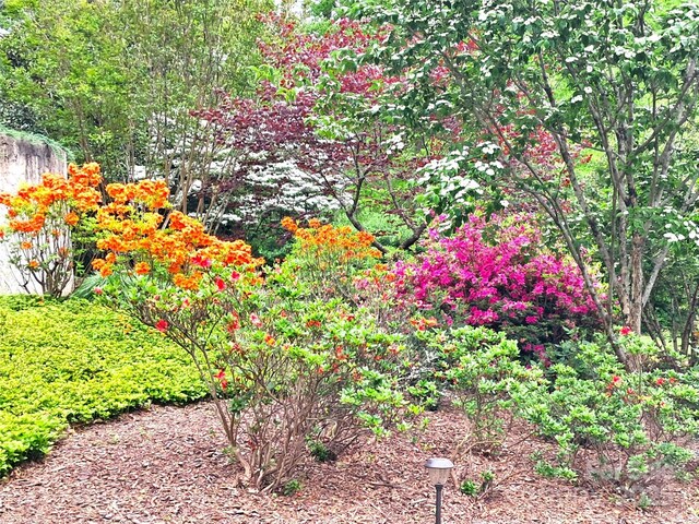 69 Benhurst Ct, Hendersonville, NC 28791 - photo 3