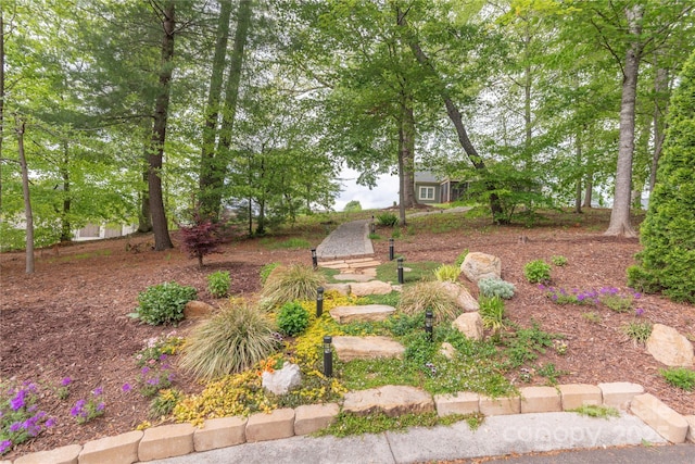 69 Benhurst Ct, Hendersonville, NC 28791 - photo 33