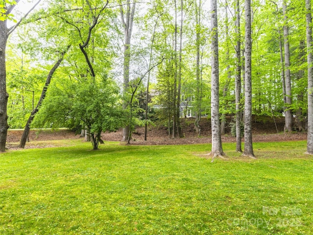69 Benhurst Ct, Hendersonville, NC 28791 - photo 36