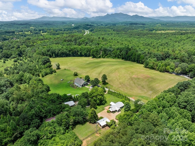 2784 Pea Ridge Rd, Mill Spring, NC 28756 - bird's eye view of a forest and a mountainous background