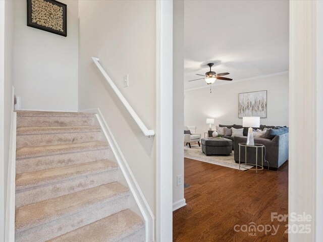 8036 Crater Lake Dr, Fort Mill, SC 29707 - photo 23