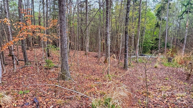 447 Hopewell Church Rd, Catawba, NC 28609