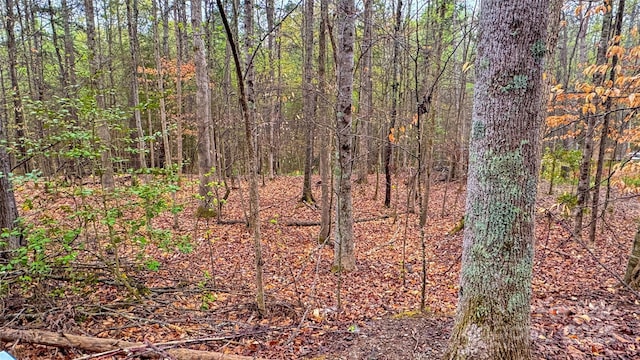 447 Hopewell Church Rd, Catawba, NC 28609