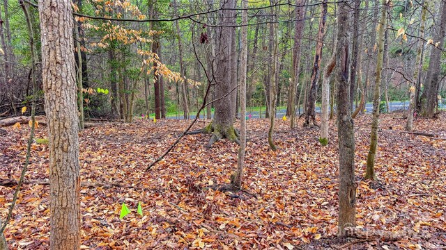 447 Hopewell Church Rd, Catawba, NC 28609