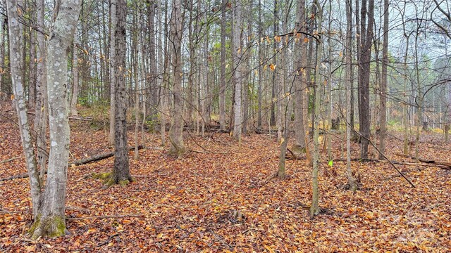 447 Hopewell Church Rd, Catawba, NC 28609