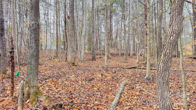 447 Hopewell Church Rd, Catawba, NC 28609