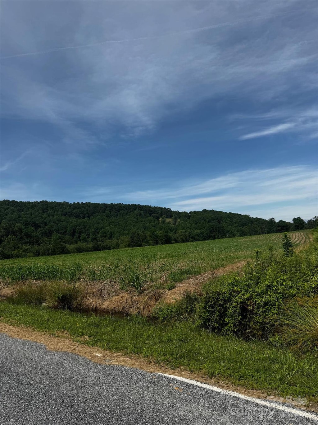 696 Beehive Rd Unit 4, Hendersonville, NC 28792