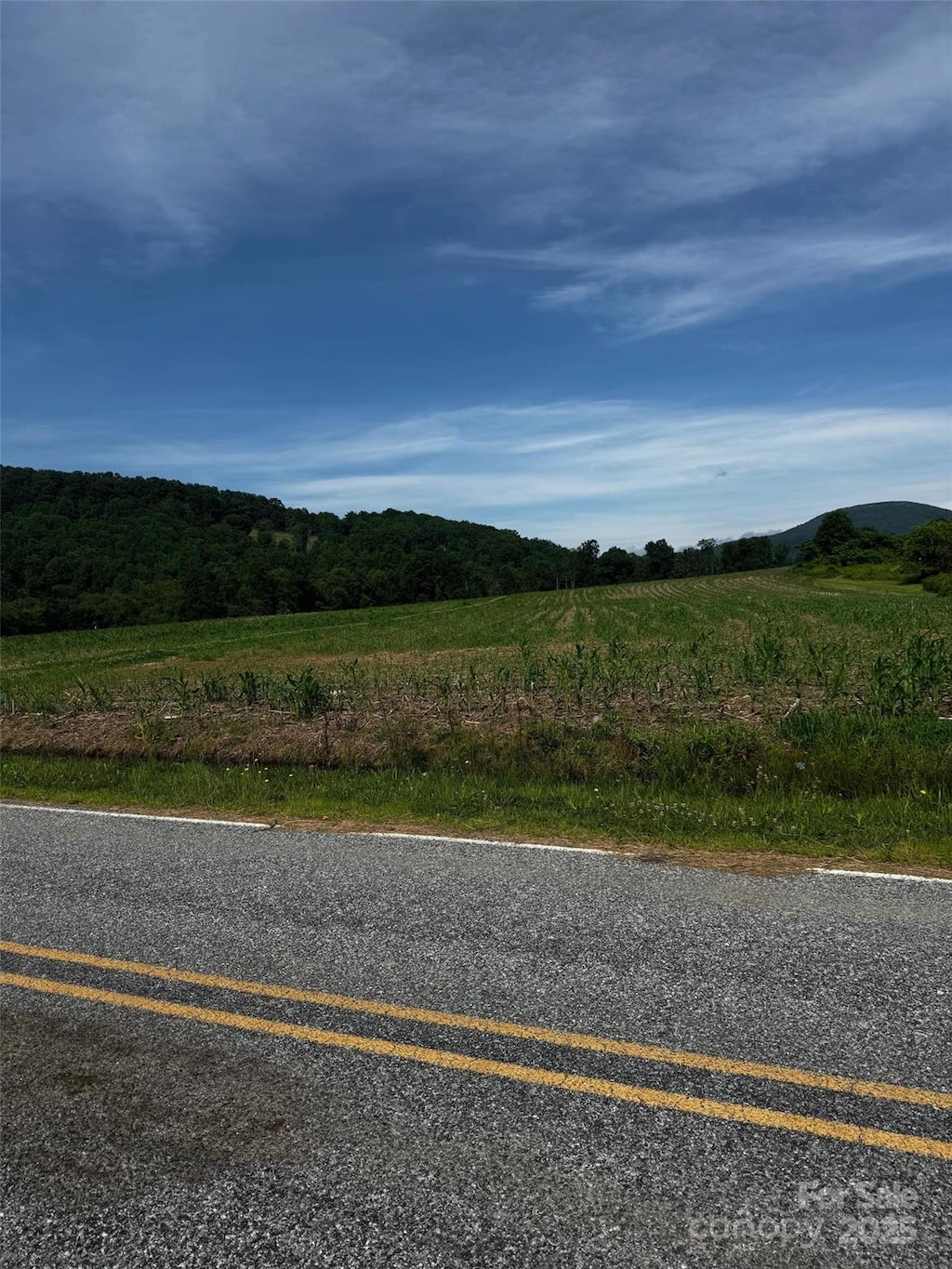 662 Beehive Rd Unit 5, Hendersonville, NC 28792