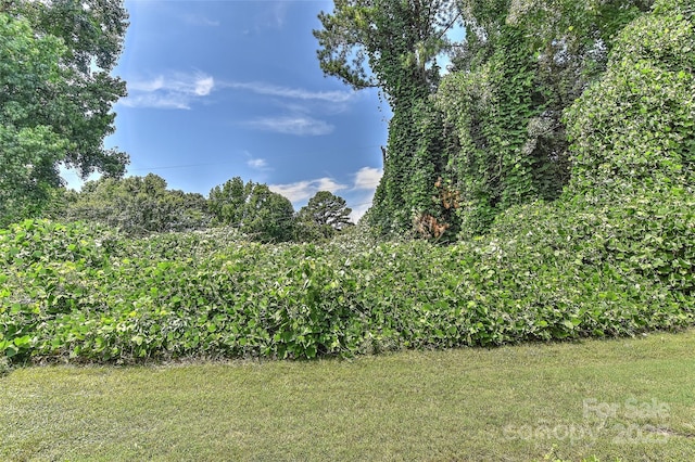 12571 Bluestem Ln, Charlotte, NC 28277 - photo 30