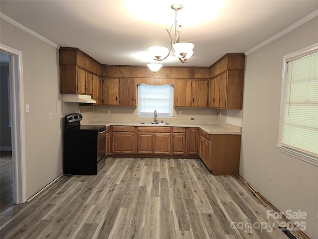 2433 Eargle Rd, Charlotte, NC 28269 - photo 7