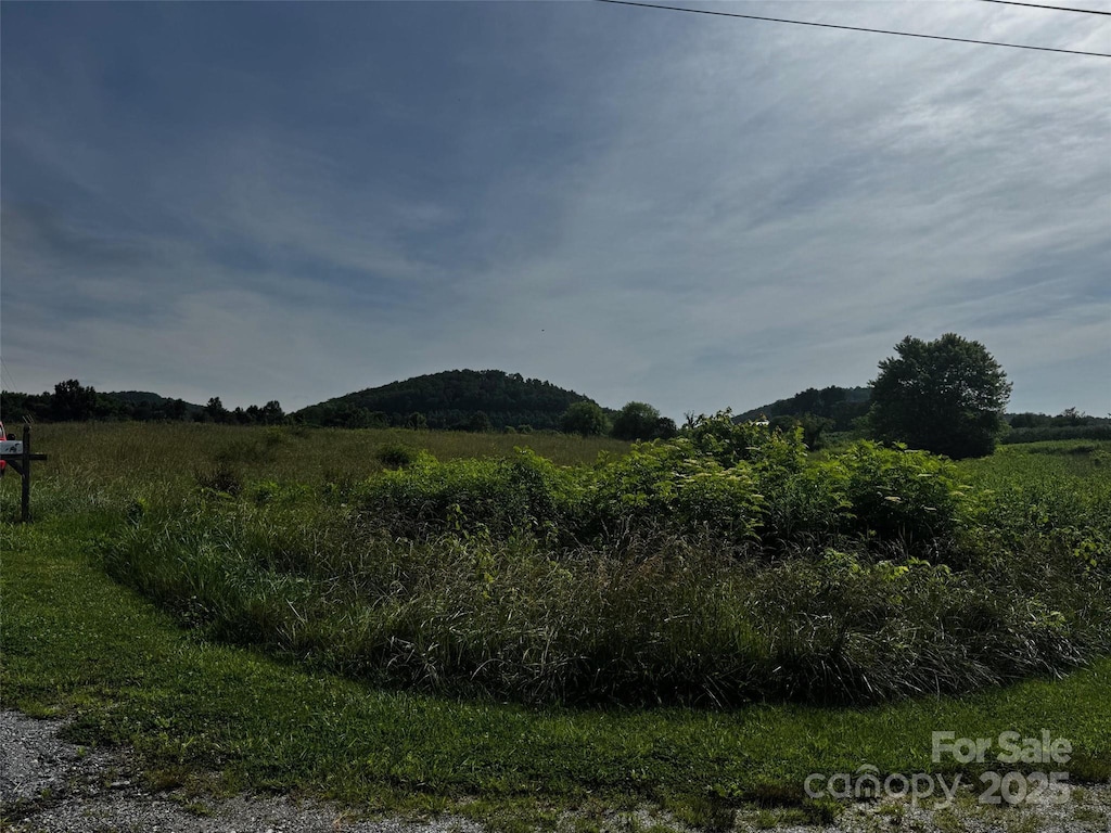 72 Canary Ln Unit 9, Hendersonville, NC 28792