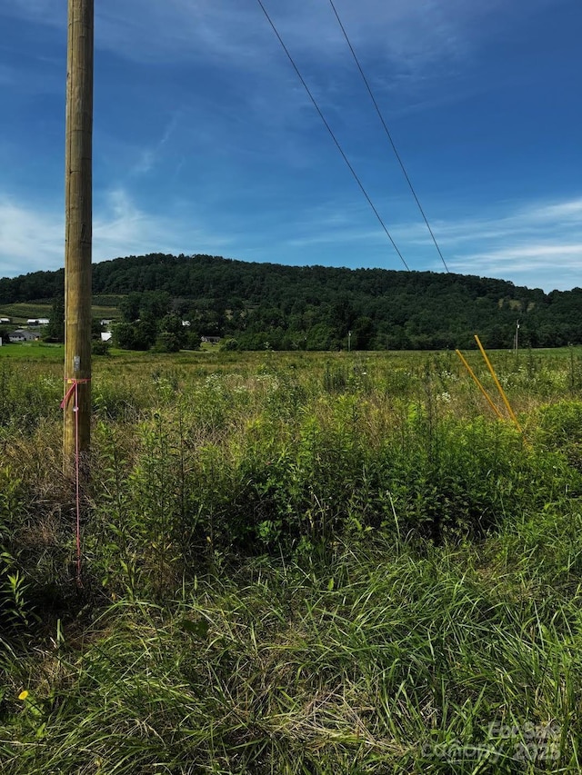 99999 Laughter Rd, Hendersonville, NC 28792