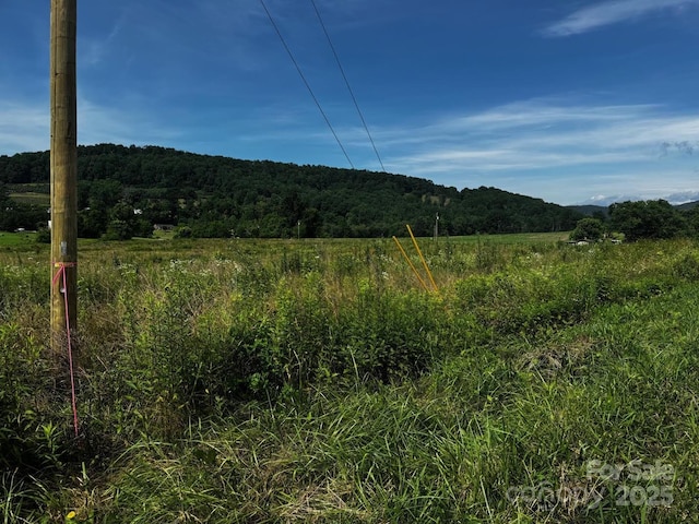 99999 Laughter Rd, Hendersonville, NC 28792