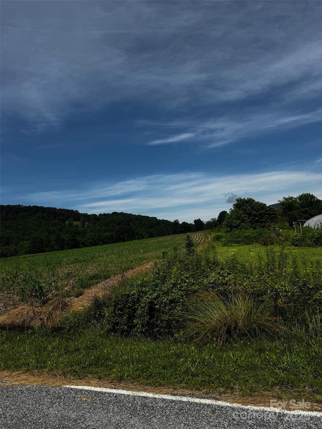 99999 Laughter Rd, Hendersonville, NC 28792