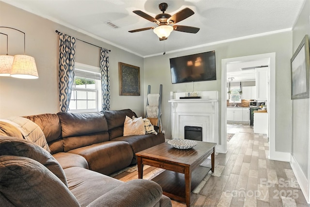 840 10th Street Blvd NW, Hickory, NC 28601 - living area featuring a ceiling fan, light wood finished floors, a glass covered fireplace, and crown molding