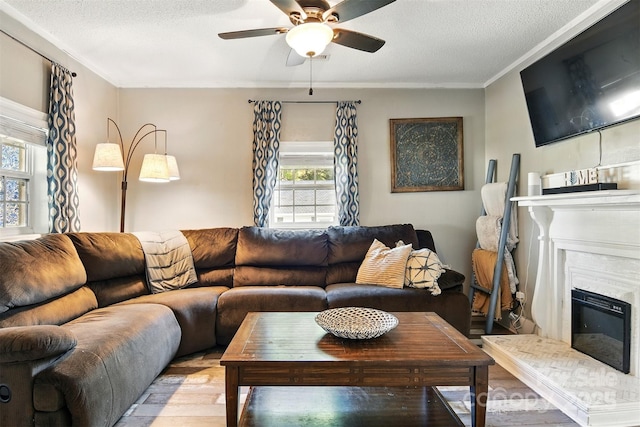 840 10th Street Blvd NW, Hickory, NC 28601 - living room featuring wood finished floors, ceiling fan, a textured ceiling, a fireplace, and ornamental molding