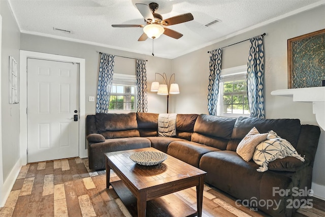 840 10th Street Blvd NW, Hickory, NC 28601 - living room with light wood finished floors, ceiling fan, healthy amount of natural light, and a textured ceiling