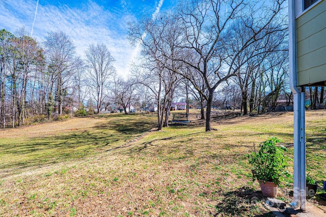 905 Orchard St SW, Valdese, NC 28690 - view of green lawn