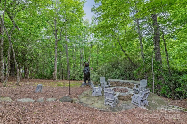 877 Winding Creek Rd, Sapphire, NC 28774 - view of yard with a fire pit, a patio, and a view of trees