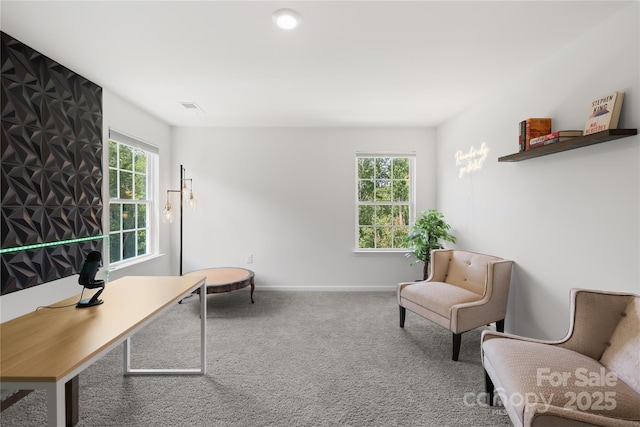 132 Sycamore Crossing Ct, Locust, NC 28097 - photo 29