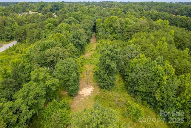 100 Wilchester Ln, Kernersville, NC 27284 - photo 6