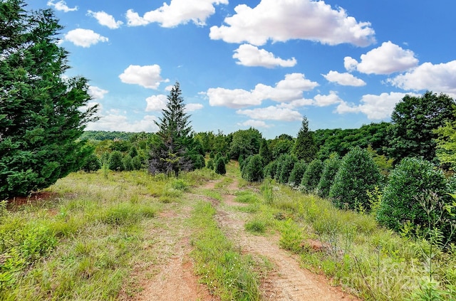 6024 White Store Pageland Rd, Marshville, NC 28103