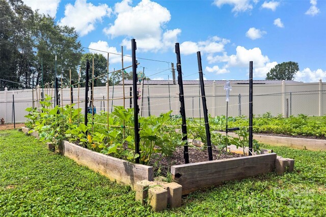 233 Church St, Ellenboro, NC 28040 - view of yard with a vegetable garden