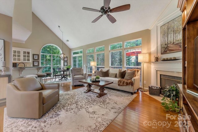 9040 Scottsboro Dr, Huntersville, NC 28078 - living area with high vaulted ceiling, healthy amount of natural light, a fireplace with flush hearth, and wood finished floors