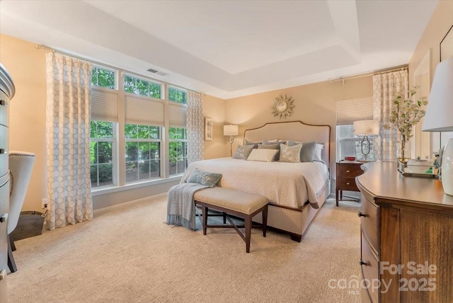 9040 Scottsboro Dr, Huntersville, NC 28078 - bedroom with a tray ceiling and light carpet
