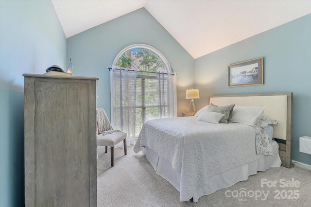 9040 Scottsboro Dr, Huntersville, NC 28078 - bedroom with carpet and vaulted ceiling