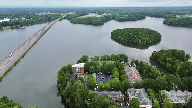 921 NE Dr, Davidson, NC 28036 - bird's eye view of a nearby body of water and a forest