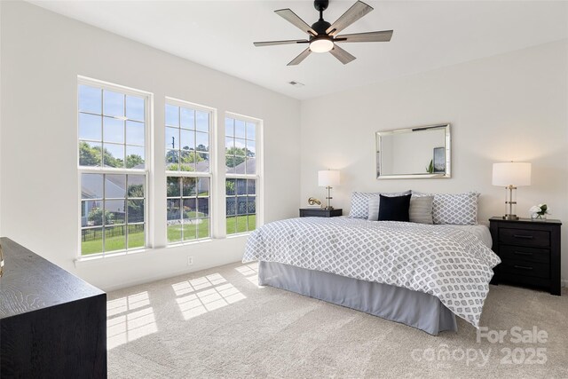 1471 River Bend Blvd, Indian Land, SC 29707 - photo 15