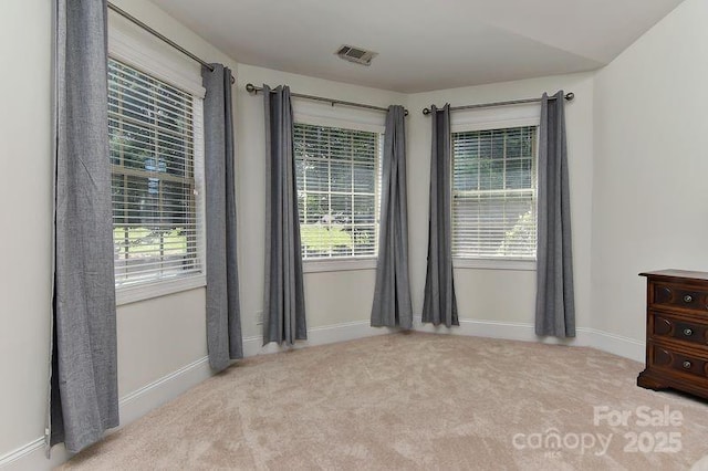 3913 Widgeon Way, Waxhaw, NC 28173 - empty room with carpet floors and plenty of natural light