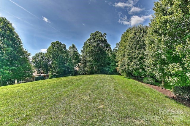 3913 Widgeon Way, Waxhaw, NC 28173 - view of green lawn