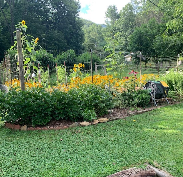 111 Assembly Dr, Montreat, NC 28757 - photo 48