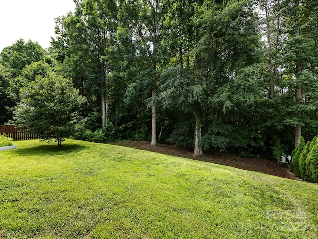 12928 Windy Lea Ln, Huntersville, NC 28078 - view of yard