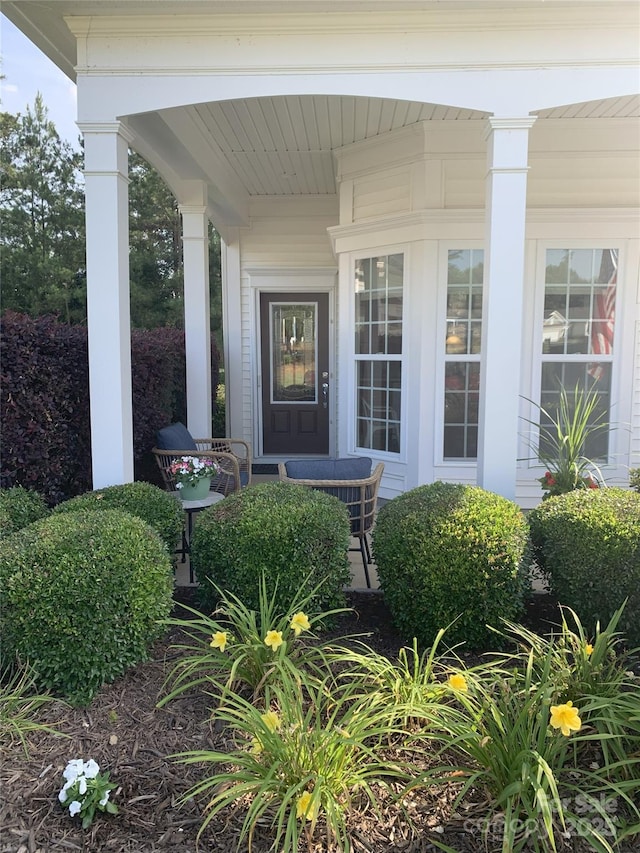 919 Lily Magnolia Ct, Fort Mill, SC 29707 - entrance to property with a porch