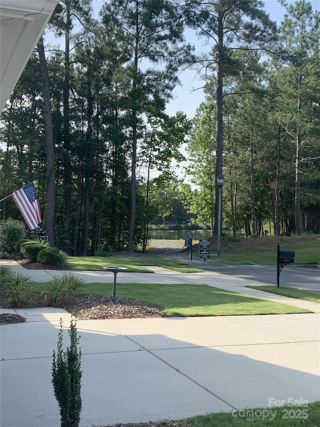 919 Lily Magnolia Ct, Fort Mill, SC 29707 - view of home's community featuring a yard
