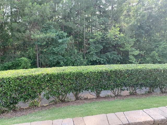 919 Lily Magnolia Ct, Fort Mill, SC 29707 - view of yard
