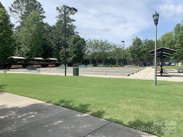 919 Lily Magnolia Ct, Fort Mill, SC 29707 - view of community featuring a yard