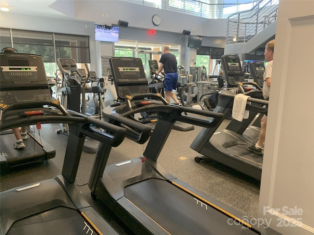 919 Lily Magnolia Ct, Fort Mill, SC 29707 - gym with plenty of natural light