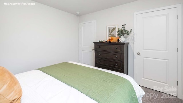 12020 Zazu Way, Charlotte, NC 28215 - view of carpeted bedroom