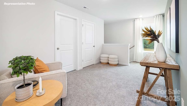 12020 Zazu Way, Charlotte, NC 28215 - sitting room with carpet flooring