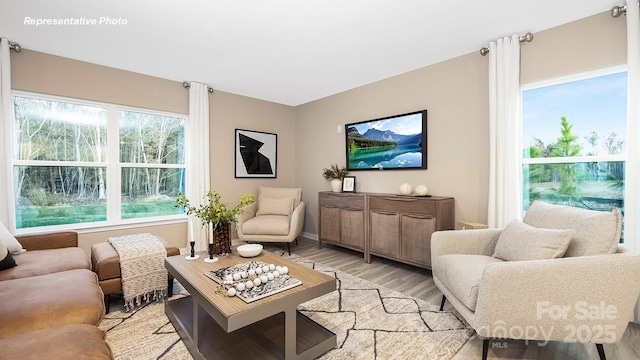 12019 Zazu Way, Charlotte, NC 28215 - living area featuring light wood finished floors and baseboards