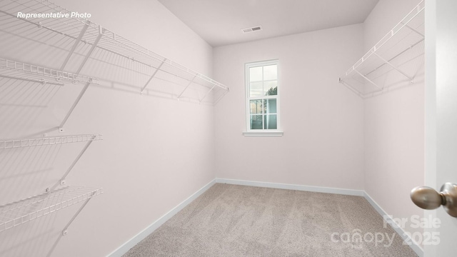 12019 Zazu Way, Charlotte, NC 28215 - walk in closet featuring light colored carpet