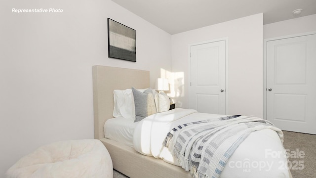 12019 Zazu Way, Charlotte, NC 28215 - view of carpeted bedroom